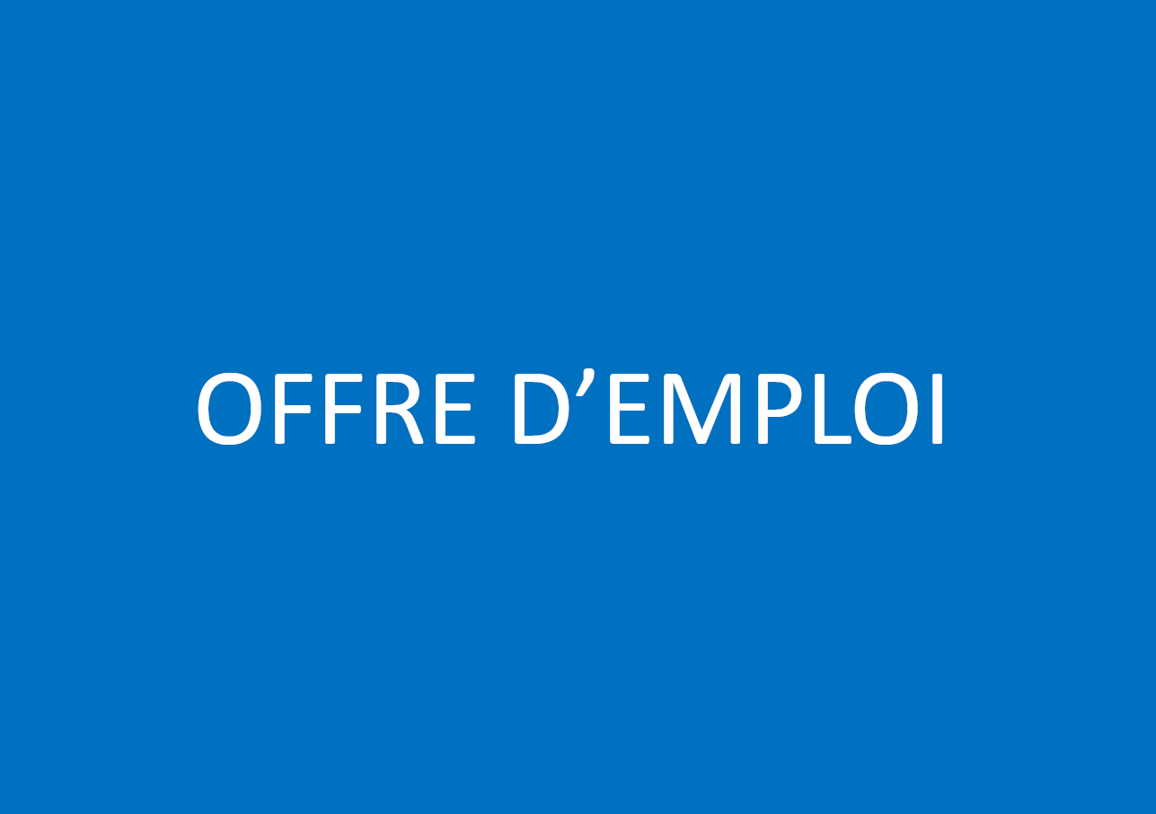 Offres d'emploi