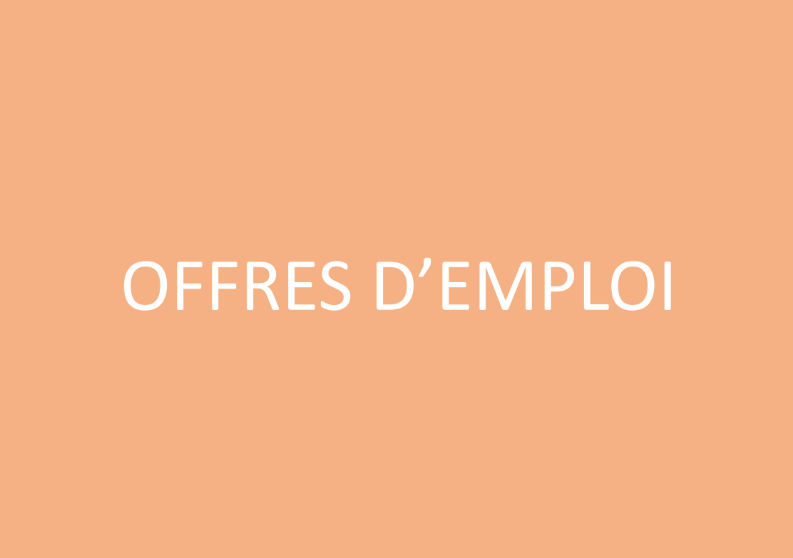 Offres d'emploi